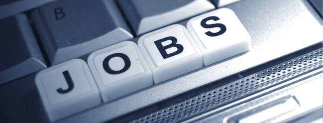 Jobs in Enterprise IT Solutions & Services